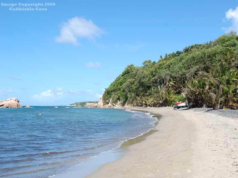 Calibishie Cove Hotell Fasiliteter bilde