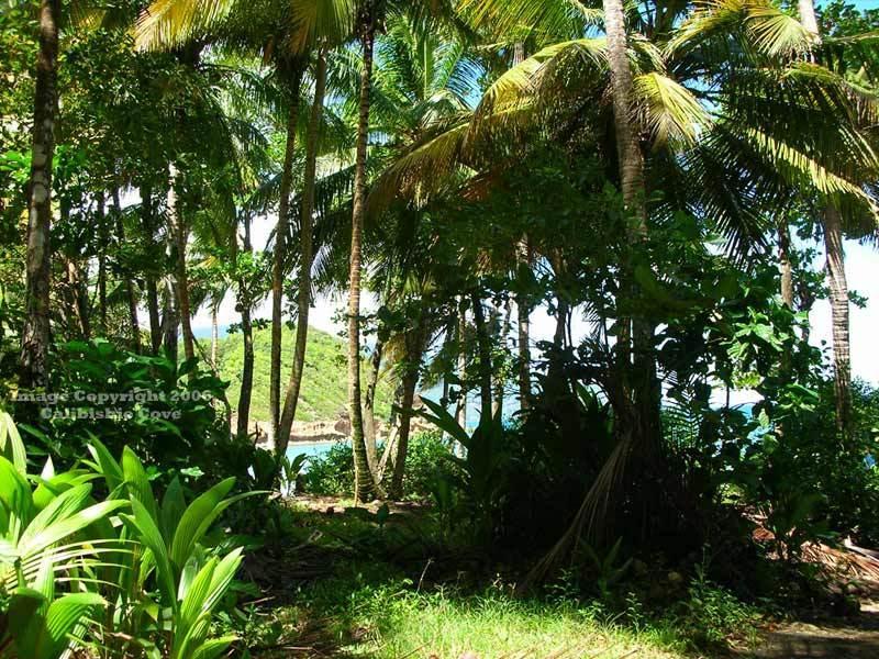 Calibishie Cove Hotell Eksteriør bilde
